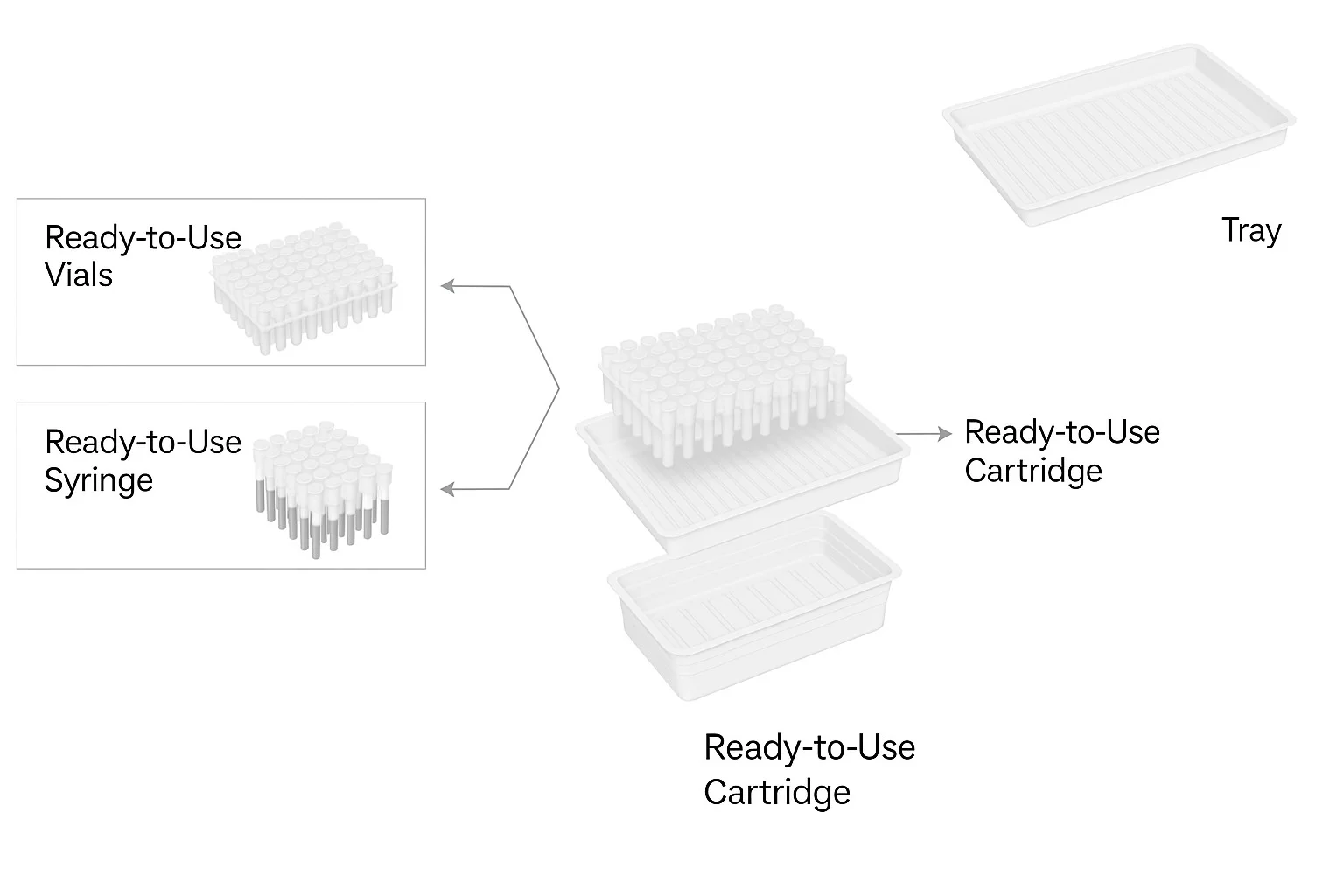 WhatsApp-Image-2025-07-24-at-15.45.32